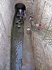 By Tamar Hayardeni תמר הירדני (My own work יצרתי בעצמי) [CC BY 3.0 (http://creativecommons.org/licenses/by/3.0)], via Wikimedia Commons